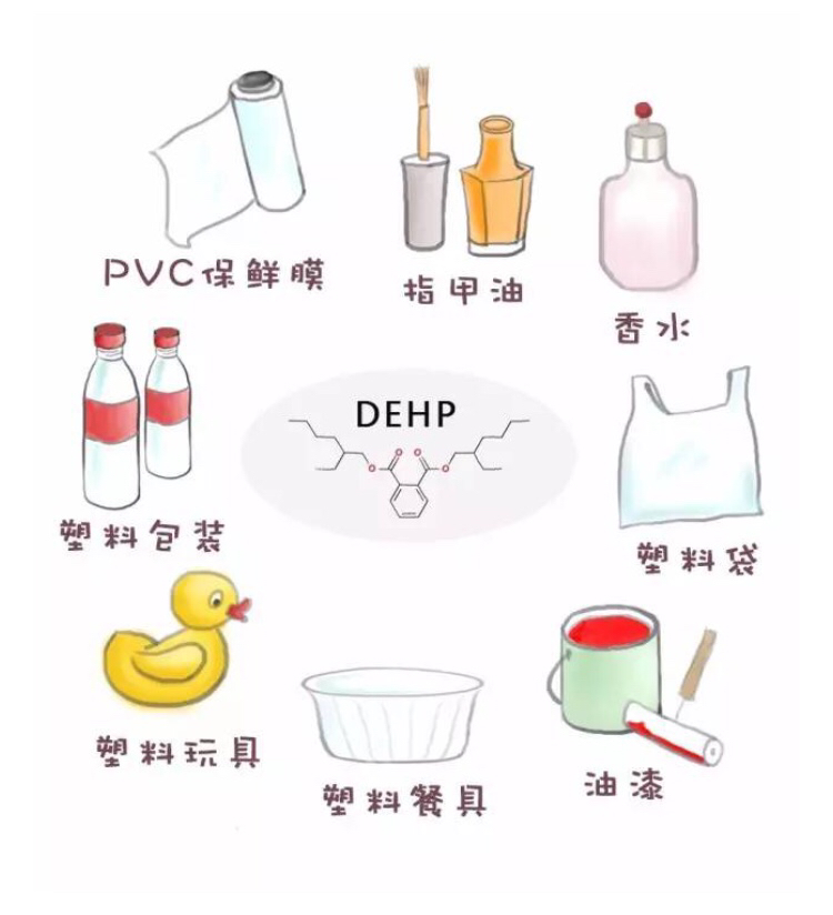 环境内分泌干扰物.png
