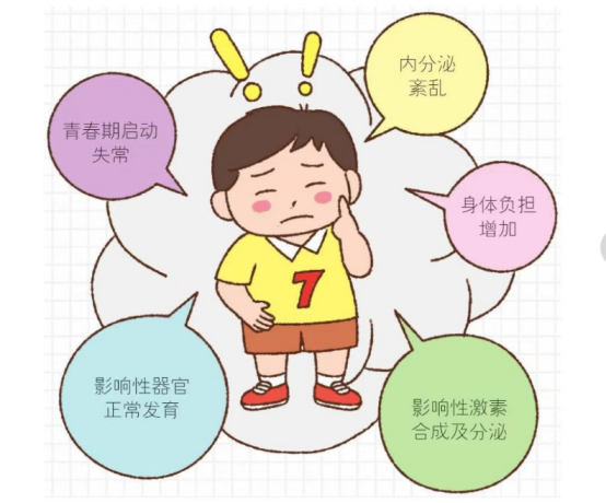 儿童肥胖的危害.png