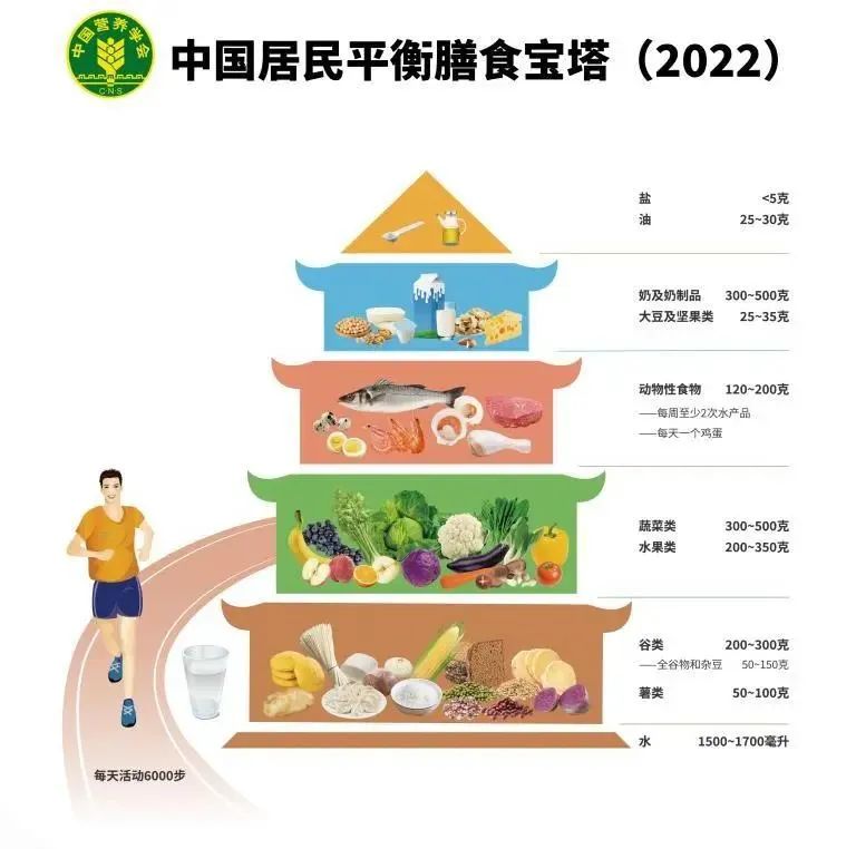 营养膳食宝塔.jpg