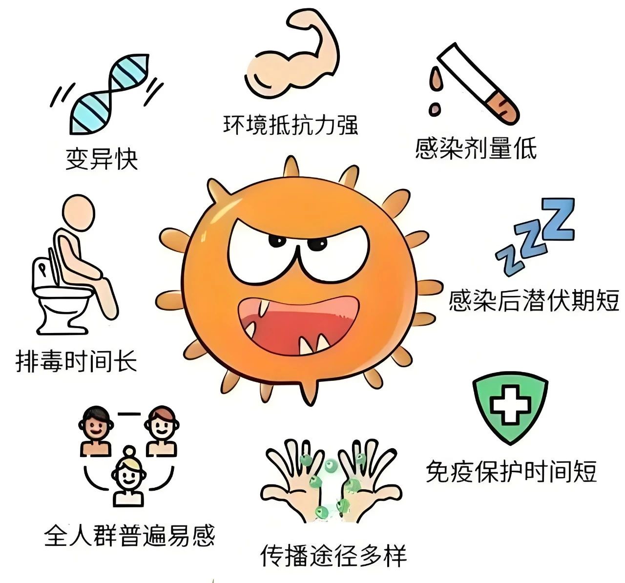 诺如病毒特征.jpg
