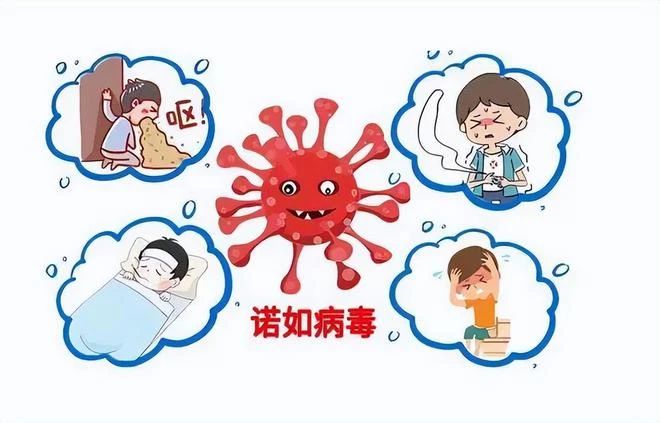 诺如病毒症状.jpg