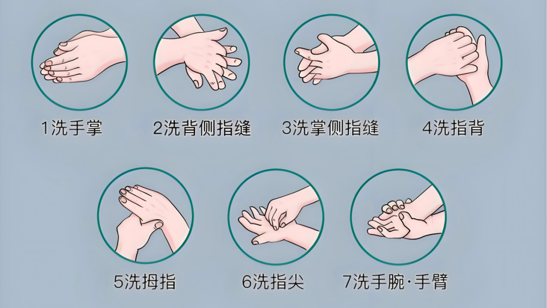 正确洗手.png